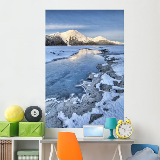Morning Light Wall Mural