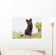 Adult Arctic Fox Guarding The Den Wall Mural
