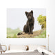 Adult Arctic Fox Guarding The Den Wall Mural