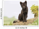 Adult Arctic Fox Guarding The Den Wall Mural
