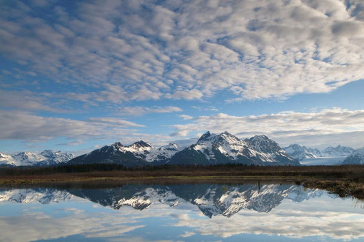 Alaganik Slough Reflecting The Chugach Mountains Wall Mural