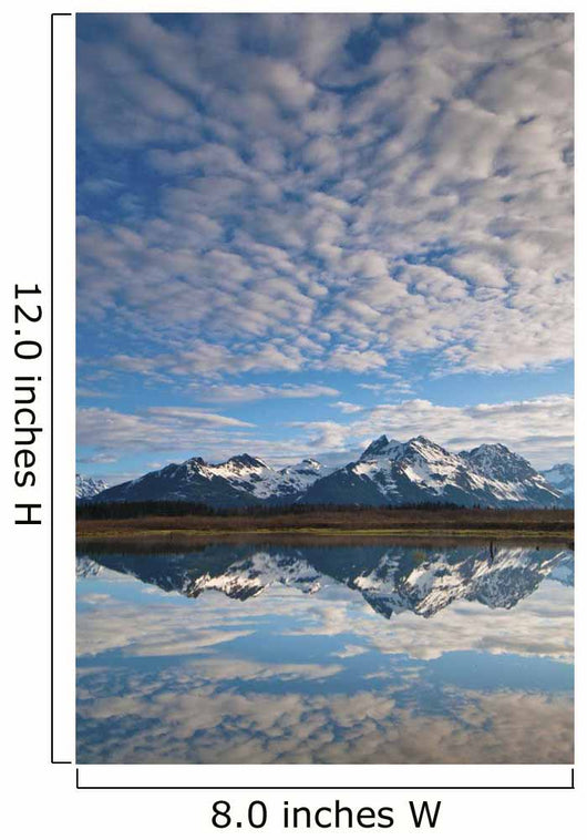 Alaganik Slough Reflecting The Chugach Mountains Wall Mural
