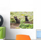 Two Arctic Fox Kits Sitting Near Their Den Wall Mural