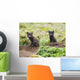 Two Arctic Fox Kits Sitting Near Their Den Wall Mural
