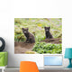 Two Arctic Fox Kits Sitting Near Their Den Wall Mural