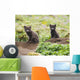 Two Arctic Fox Kits Sitting Near Their Den Wall Mural