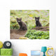 Two Arctic Fox Kits Sitting Near Their Den Wall Mural