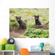 Two Arctic Fox Kits Sitting Near Their Den Wall Mural