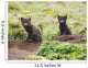 Two Arctic Fox Kits Sitting Near Their Den Wall Mural