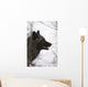 Portrait Of A Black Wolf, Eureka Pass, Southcentral Alaska, Winter Wall Mural