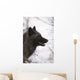 Portrait Of A Black Wolf, Eureka Pass, Southcentral Alaska, Winter Wall Mural