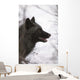 Portrait Of A Black Wolf, Eureka Pass, Southcentral Alaska, Winter Wall Mural