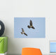 Northern Harrier Hawks Wall Mural