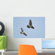 Northern Harrier Hawks Wall Mural