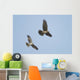 Northern Harrier Hawks Wall Mural