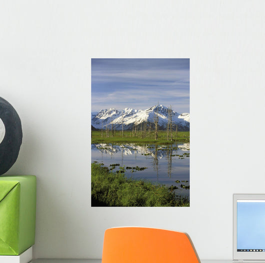 Snow Capped Kenai Mtns Reflect In Pond Sc Ak Spring Wall Mural