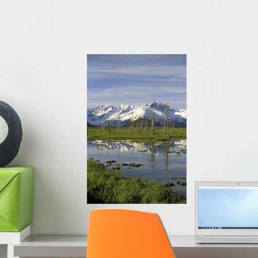 Snow Capped Kenai Mtns Reflect In Pond Sc Ak Spring Wall Mural