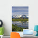 Snow Capped Kenai Mtns Reflect In Pond Sc Ak Spring Wall Mural