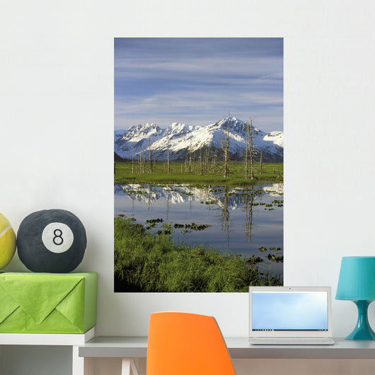Snow Capped Kenai Mtns Reflect In Pond Sc Ak Spring Wall Mural
