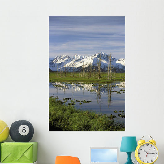 Snow Capped Kenai Mtns Reflect In Pond Sc Ak Spring Wall Mural