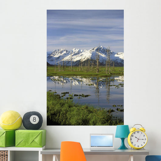 Snow Capped Kenai Mtns Reflect In Pond Sc Ak Spring Wall Mural
