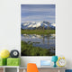 Snow Capped Kenai Mtns Reflect In Pond Sc Ak Spring Wall Mural