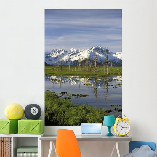 Snow Capped Kenai Mtns Reflect In Pond Sc Ak Spring Wall Mural