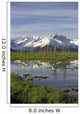 Snow Capped Kenai Mtns Reflect In Pond Sc Ak Spring Wall Mural
