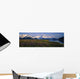 Field Of Lupine Flowers Along Turnagain Arm Sc Alaska Wall Mural