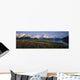 Field Of Lupine Flowers Along Turnagain Arm Sc Alaska Wall Mural