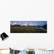 Field Of Lupine Flowers Along Turnagain Arm Sc Alaska Wall Mural