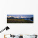 Field Of Lupine Flowers Along Turnagain Arm Sc Alaska Wall Mural