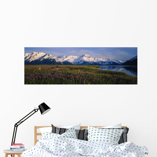 Field Of Lupine Flowers Along Turnagain Arm Sc Alaska Wall Mural