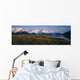 Field Of Lupine Flowers Along Turnagain Arm Sc Alaska Wall Mural