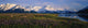 Field Of Lupine Flowers Along Turnagain Arm Sc Alaska Wall Mural