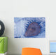 Frozen Cottonwood Leaf In Pond Ice Portage Valley Ak Wall Mural