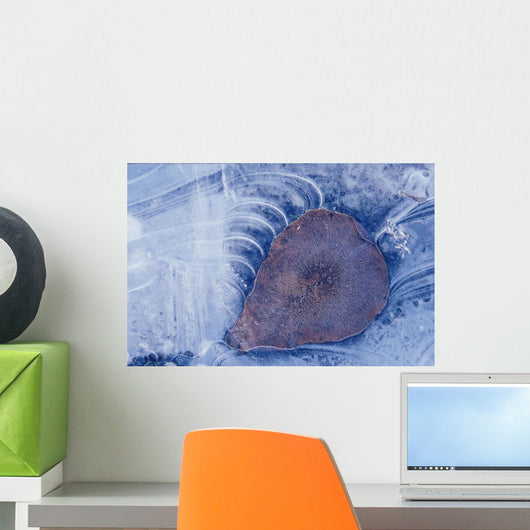 Frozen Cottonwood Leaf In Pond Ice Portage Valley Ak Wall Mural