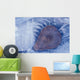 Frozen Cottonwood Leaf In Pond Ice Portage Valley Ak Wall Mural