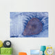 Frozen Cottonwood Leaf In Pond Ice Portage Valley Ak Wall Mural