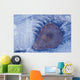 Frozen Cottonwood Leaf In Pond Ice Portage Valley Ak Wall Mural