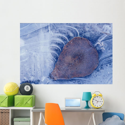 Frozen Cottonwood Leaf In Pond Ice Portage Valley Ak Wall Mural