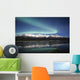 Northern Lights Over Chugach Mts & Knik River, Southcentral Alaska Wall Mural