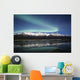 Northern Lights Over Chugach Mts & Knik River, Southcentral Alaska Wall Mural