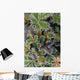 Frosted Leaves On Tundra Sc Alaska Autumn Close Up Wall Mural