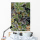 Frosted Leaves On Tundra Sc Alaska Autumn Close Up Wall Mural