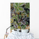 Frosted Leaves On Tundra Sc Alaska Autumn Close Up Wall Mural