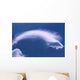 Cloud Over Thundercloud Near Wasilla Southcentral Ak Summer Scenic Wall Mural