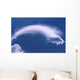 Cloud Over Thundercloud Near Wasilla Southcentral Ak Summer Scenic Wall Mural