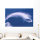 Cloud Over Thundercloud Near Wasilla Southcentral Ak Summer Scenic Wall Mural