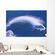 Cloud Over Thundercloud Near Wasilla Southcentral Ak Summer Scenic Wall Mural